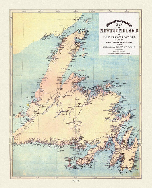 Atlas of the Dominion map of Newfoundland, Murray auth., 1875, map on heavy cotton canvas, 50 x 70 cm, 20 x 25" approx. - The Map Chest