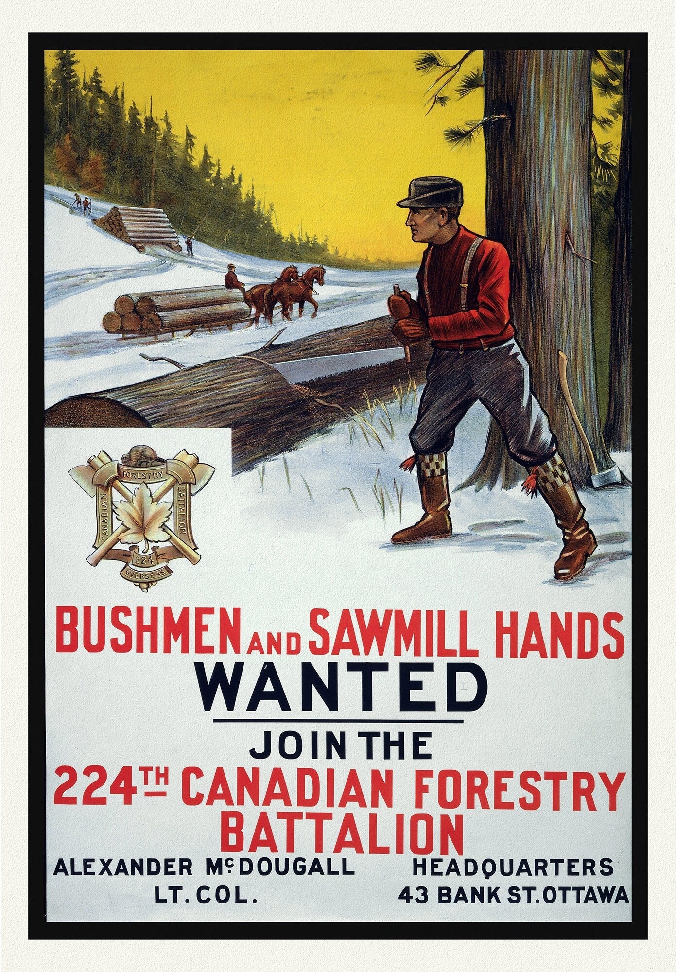 E Bushmen and Sawmill Hands Wanted. Join the 224th Canadian Forestry Battalion, war poster on durable canvas, 50 x 70 cm, 20 x 25" approx. - The Map Chest
