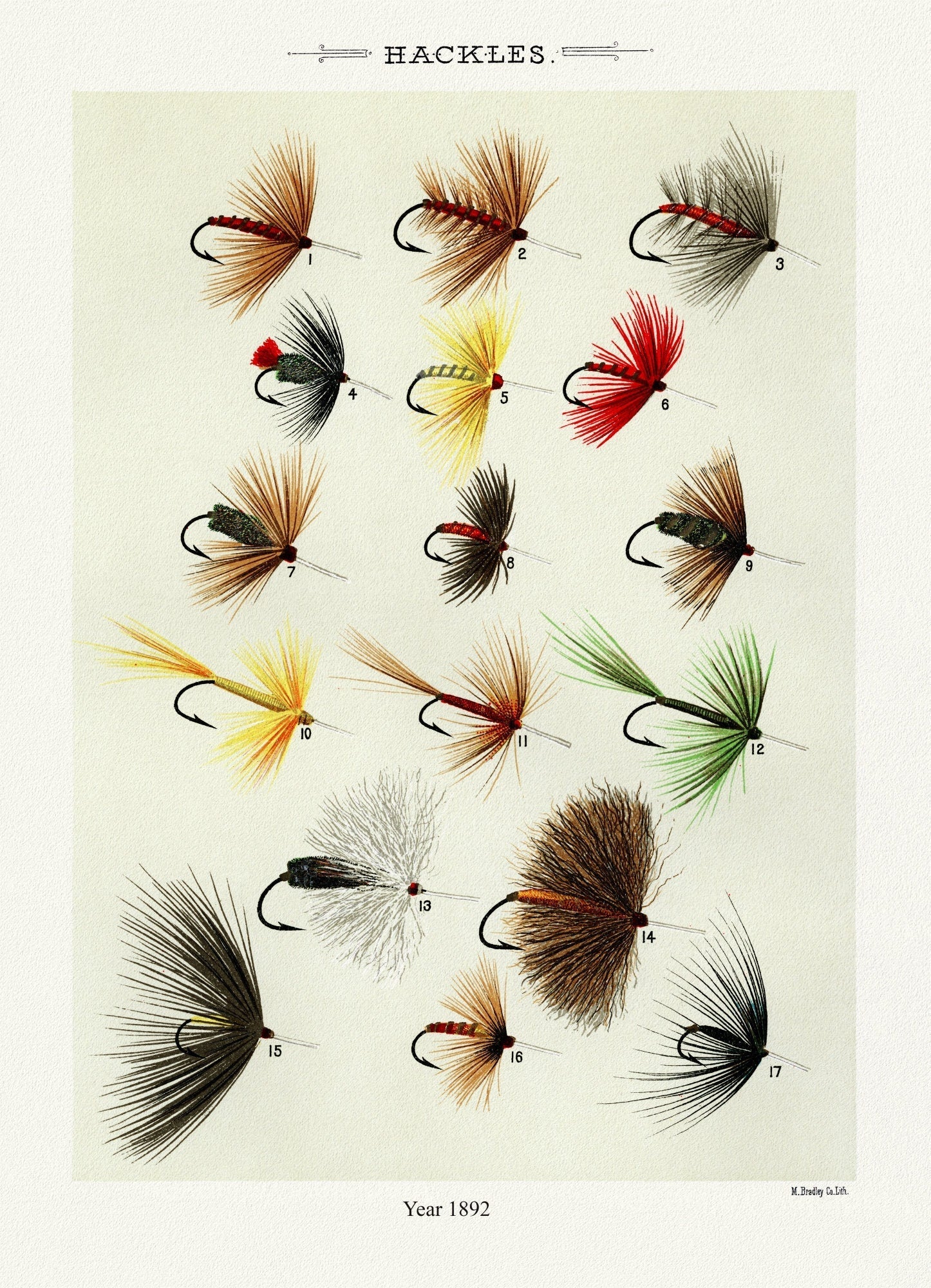 Hackles, 1892 by Mary Orvis Marbury , vintage nature print on canvas, 50 x 70 cm, 20 x 25" approx. - The Map Chest