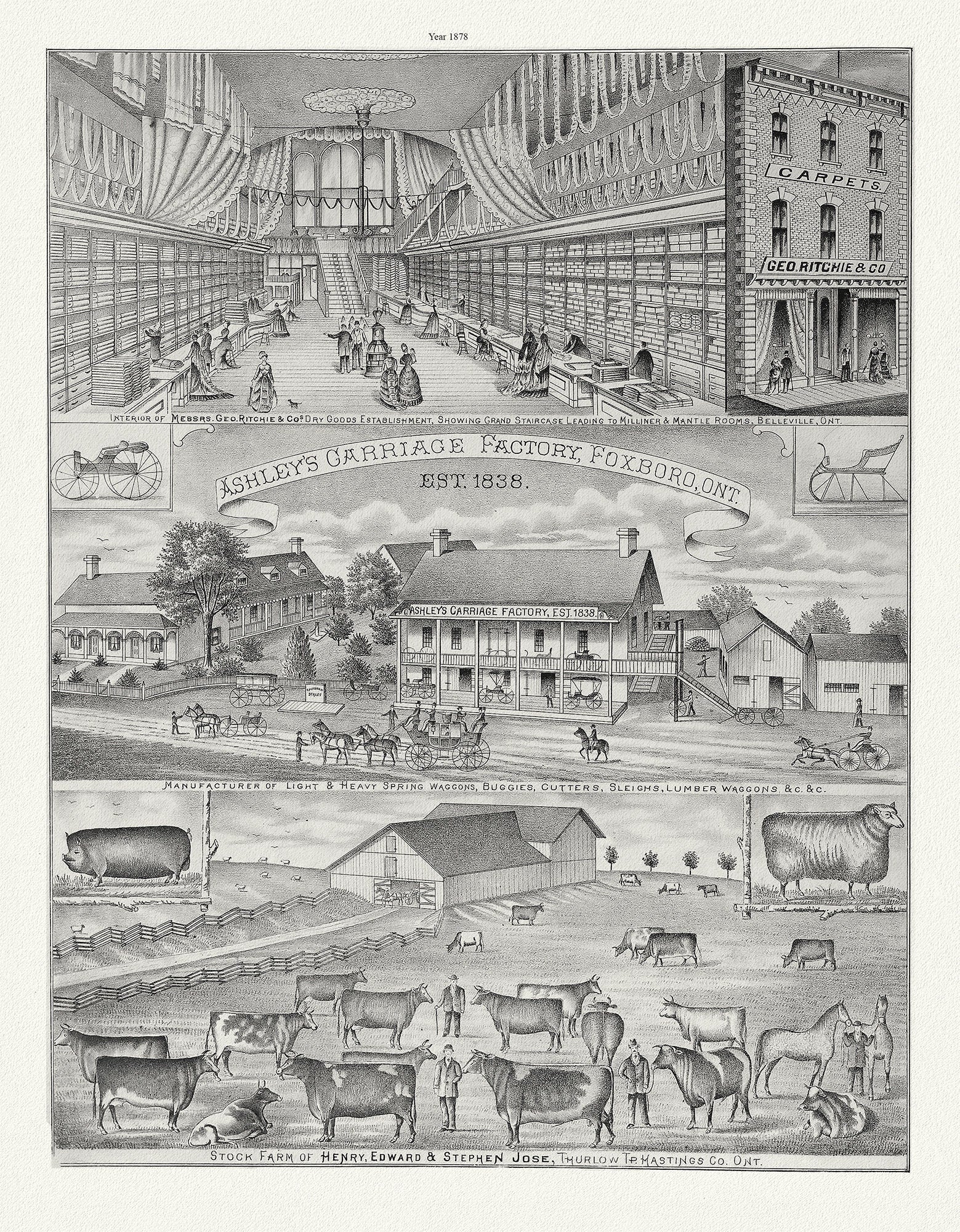 Hastings County, Businesses, 1878 Ver. II , vintage print on canvas, 50 x 70 cm, 20 x 25" approx. - The Map Chest
