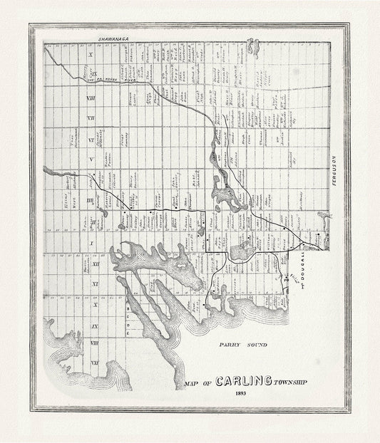 Muskoka - Haliburton, Carling Township, 1893, map on heavy cotton canvas, 20 x 25" approx. - The Map Chest