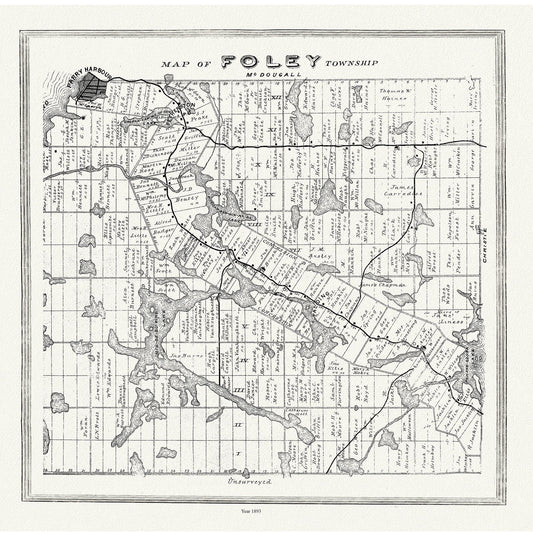 Muskoka - Haliburton, Foley Township, 1893, map on heavy cotton canvas, 20 x 25" approx. - The Map Chest