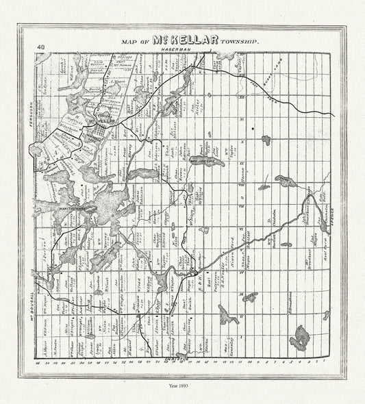 Muskoka - Haliburton, McKellar Township, 1893, map on heavy cotton canvas, 20 x 25" approx. - The Map Chest