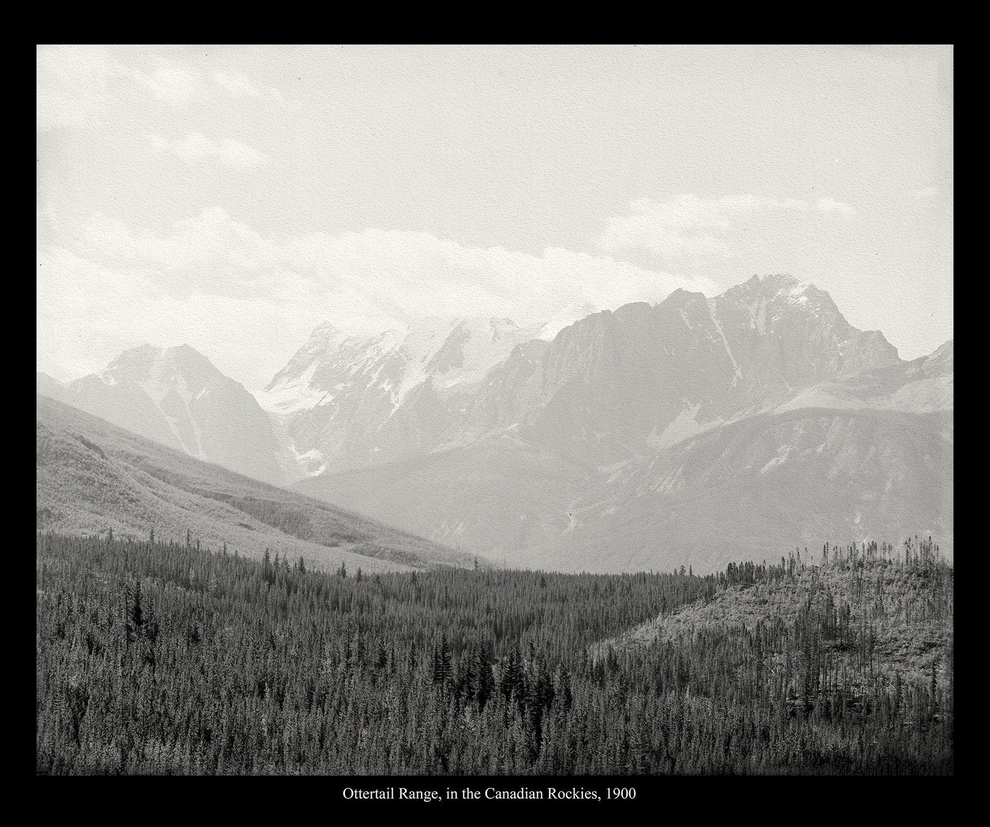 Ottertail Range, Canada, In The Canadian Rockies, 1900, vintage photograph reprinted on durable cotton canvas, 50 x 70 cm, 20 x 25" approx. - The Map Chest