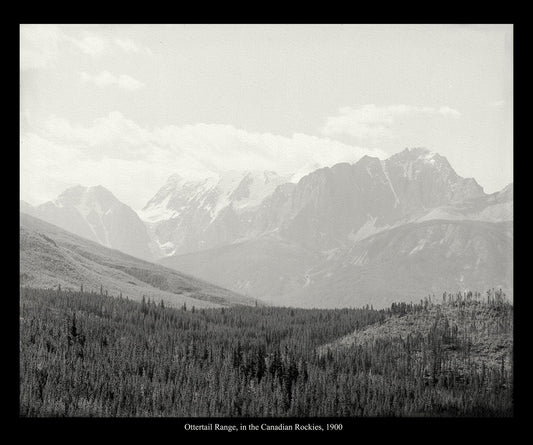 Ottertail Range, Canada, In The Canadian Rockies, 1900, vintage photograph reprinted on durable cotton canvas, 50 x 70 cm, 20 x 25" approx. - The Map Chest