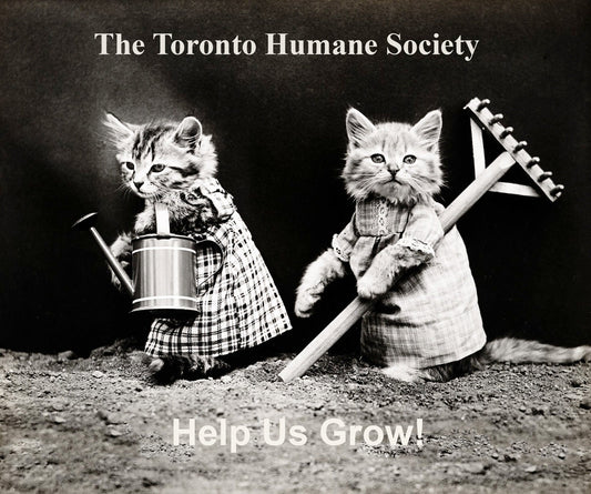 The Toronto Humane Society, Help Us Grow!, Ver. VIII , vintage print on canvas, 50 x 70 cm, 20 x 25" approx. - The Map Chest