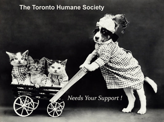 The Toronto Humane Society Needs Your Support, Ver. II, vintage poster on durable cotton canvas, 50 x 70 cm, 20 x 25" approx. - The Map Chest
