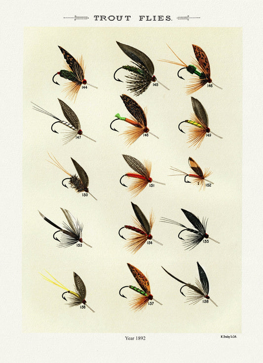 Trout Flies, 1892 by Mary Orvis Marbury, vintage nature print on canvas, 50 x 70 cm, 20 x 25" approx. - The Map Chest