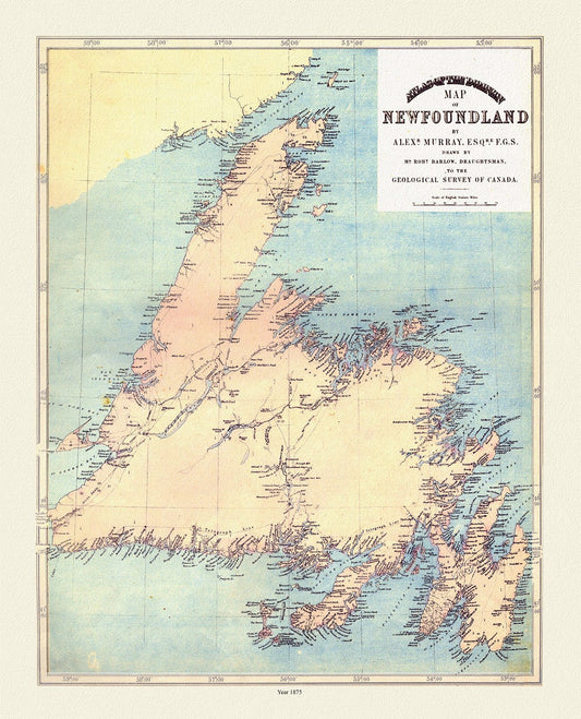 Atlas of the Dominion map of Newfoundland, Murray auth., 1875 - The Map Chest