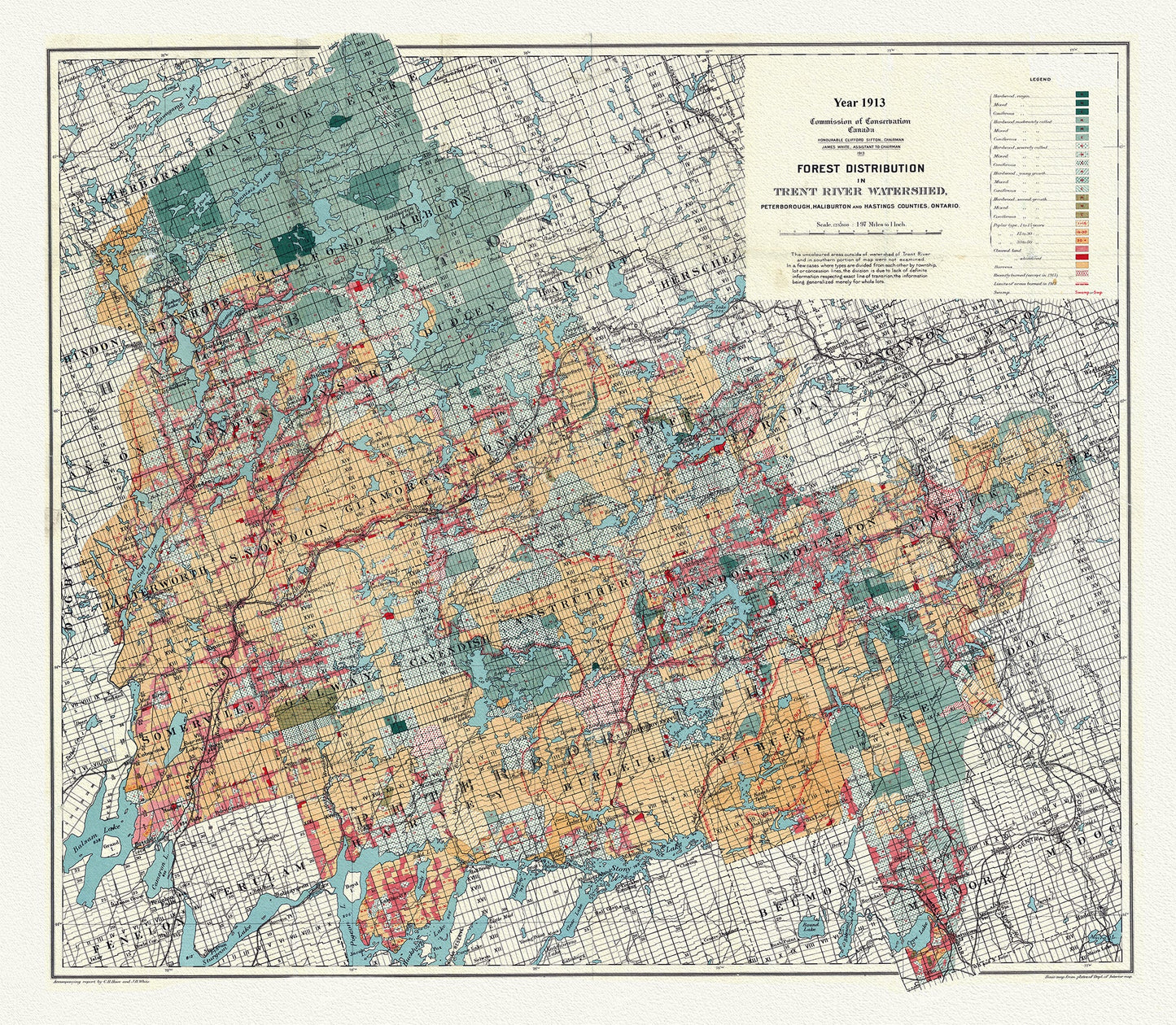 Canada: Ontario: Kawartha Lakes: Forest distribution in Trent River Watershed, Peterborough, Haliburton and Hastings counties, Ontario, 1913 - The Map Chest