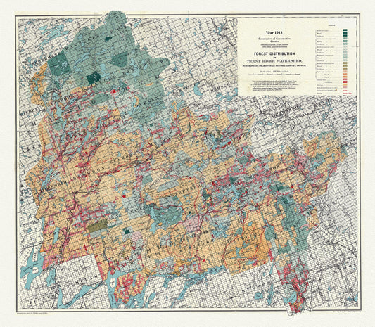 Canada: Ontario: Kawartha Lakes: Forest distribution in Trent River Watershed, Peterborough, Haliburton and Hastings counties, Ontario, 1913 - The Map Chest