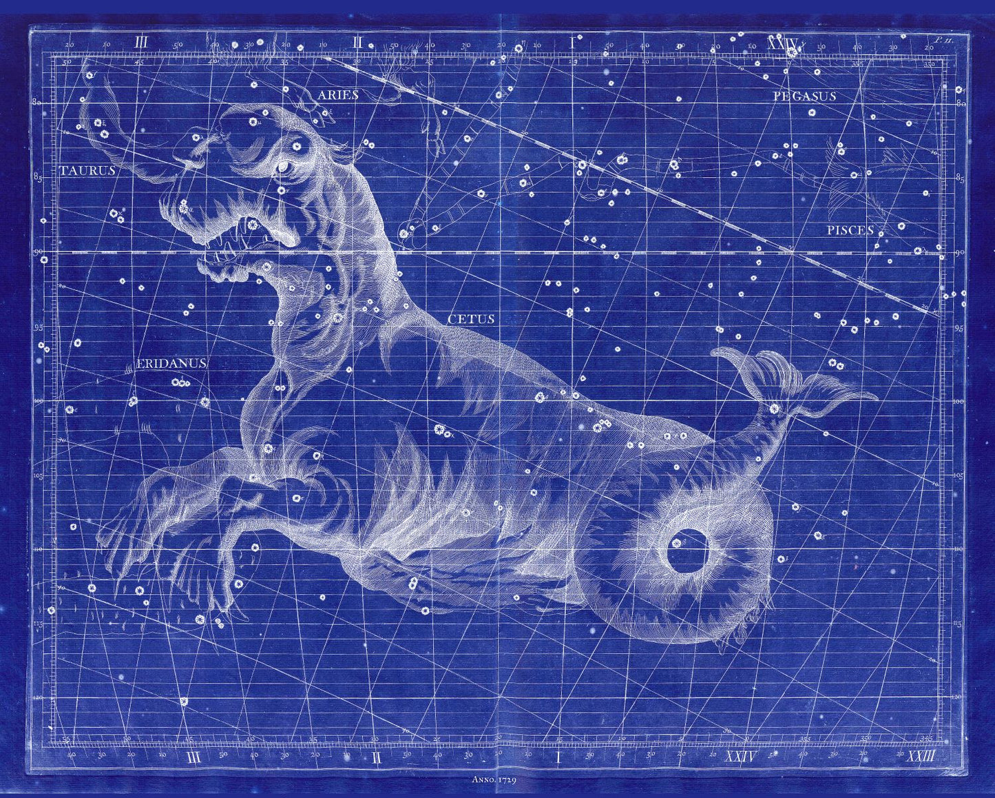 Celestial: Constellation: Cetus, 1729, Flamsteed auth. Cyanotype - The Map Chest