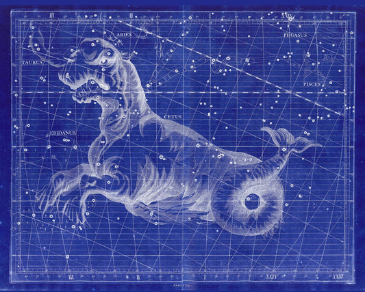 Celestial: Constellation: Cetus, 1729, Flamsteed auth. Cyanotype - The Map Chest