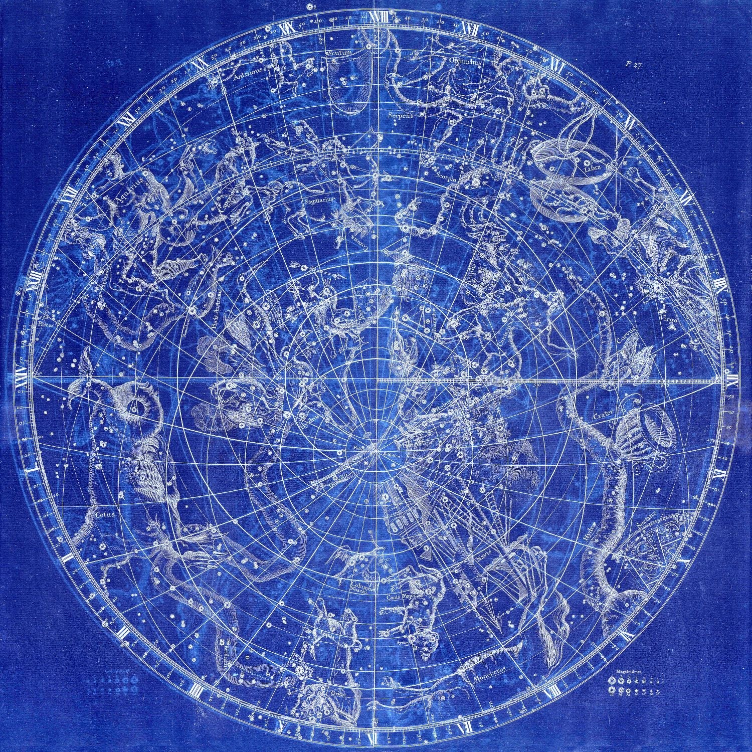 Celestial: Constellation: Circular Planesphere Plate 27, 1729, Flamsteed auth. Cyanotype - The Map Chest