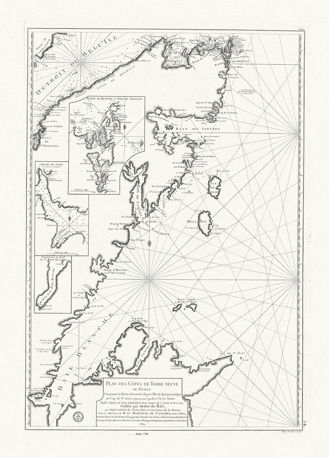 Cook et Lane, Plan des cotes de Terre - Neuve VII, 1784 - The Map Chest