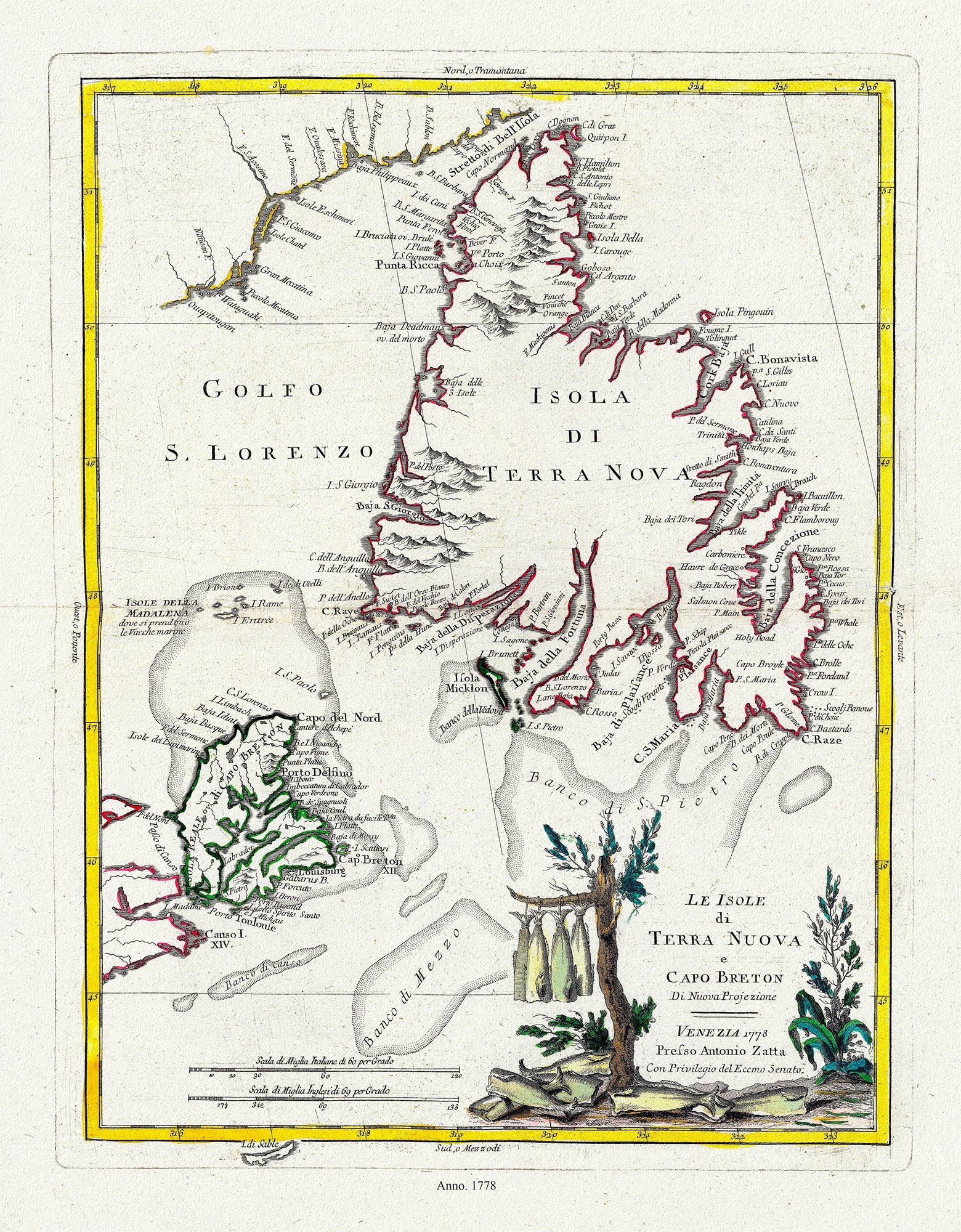 Newfoundland, 1778, Zatta auth. - The Map Chest