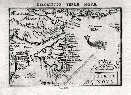 Newfoundland, Terra Nova, Bertius auth.,1604 - The Map Chest