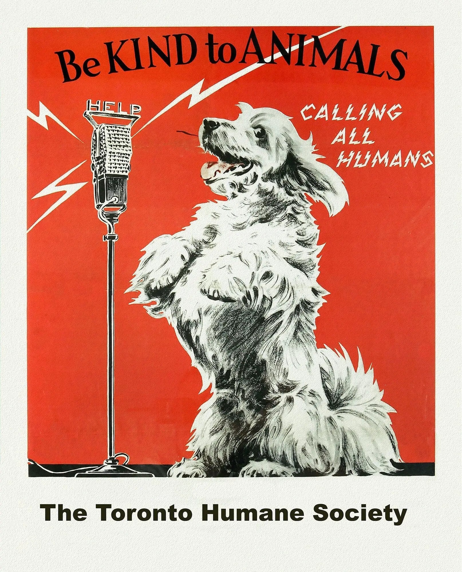 Toronto Humane Society, Be Kind to Animals, vintage poster on heavy cotton canvas, 50 x 70cm, 20 x 25" approx. - The Map Chest