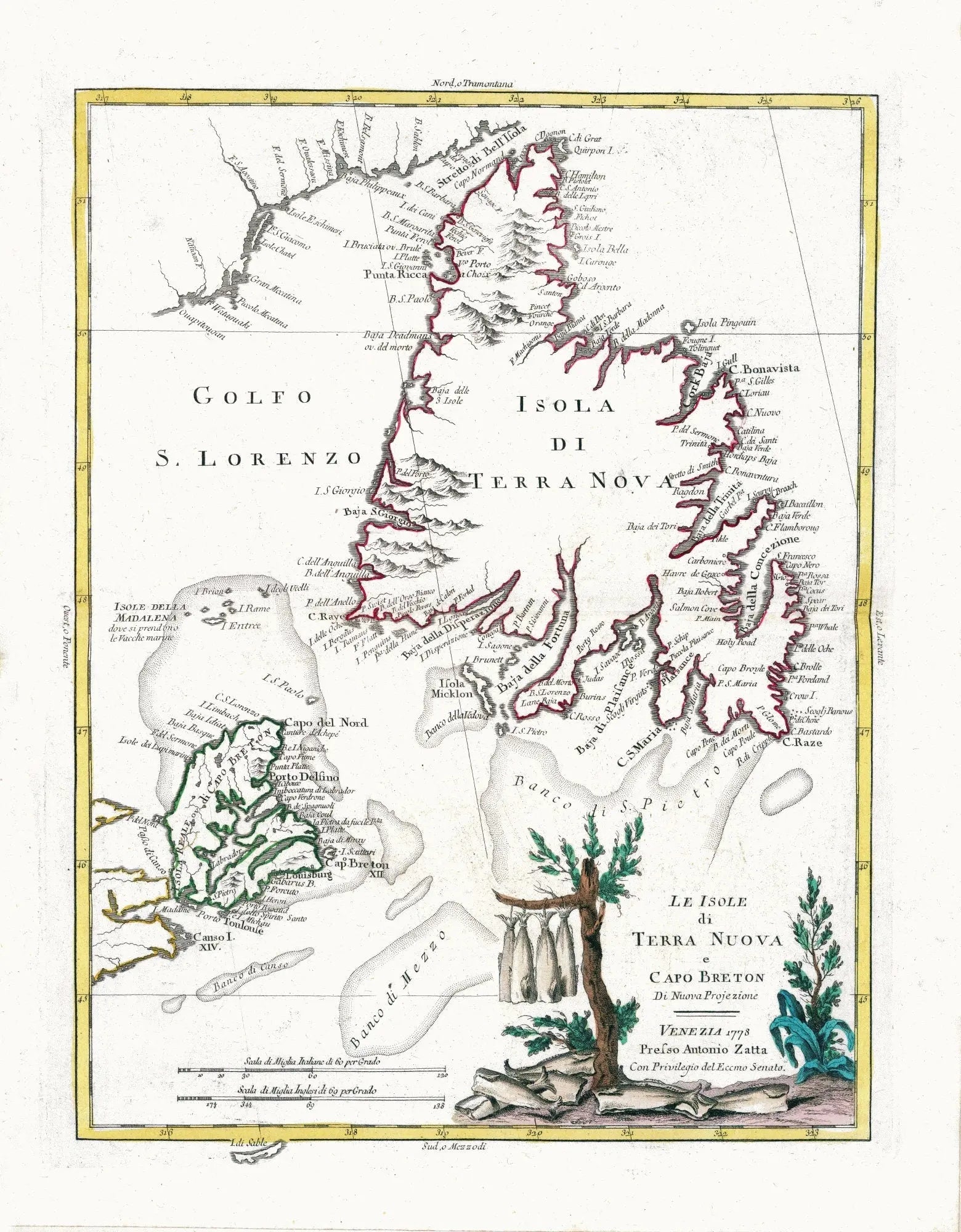 Zatta, Zuiliani, Novelli et Pitteri, Le isole di Terra Nuova e Capo Breton, 1778, Map of Newfoundland on heavy canvas, 20x24" approx. - The Map Chest