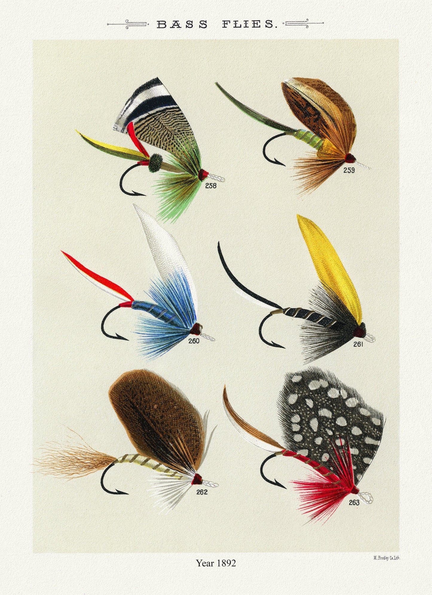 Bass Flies, 1892 Mary Orvis Marbury, vintage nature print on canvas, 50 x 70 cm, 20 x 25" approx. - The Map Chest