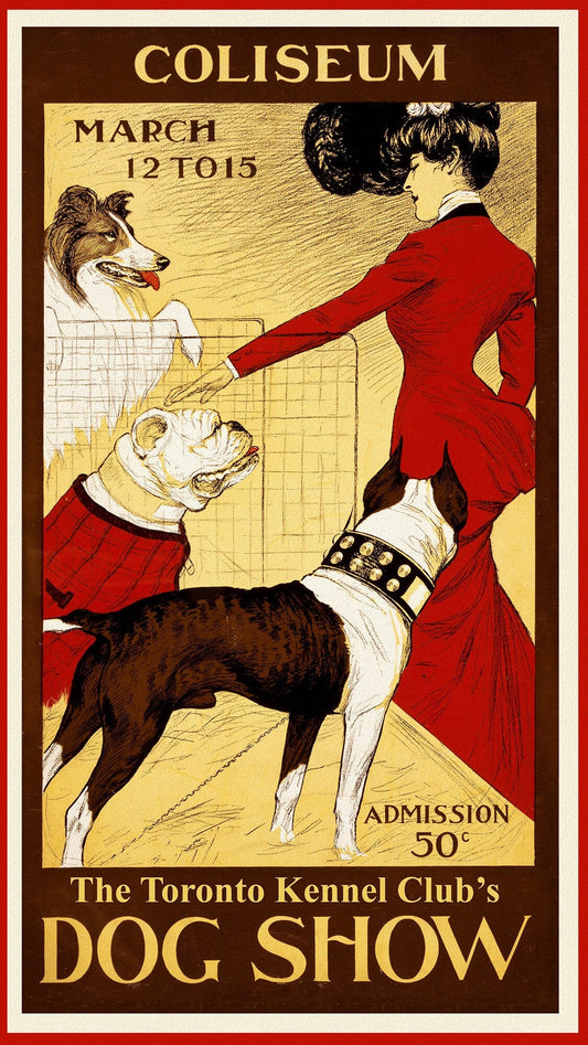 Dog Show, Toronto Kennel Club, 1902, vintage print on canvas, 50 x 70 cm, 20 x 25" approx. - The Map Chest
