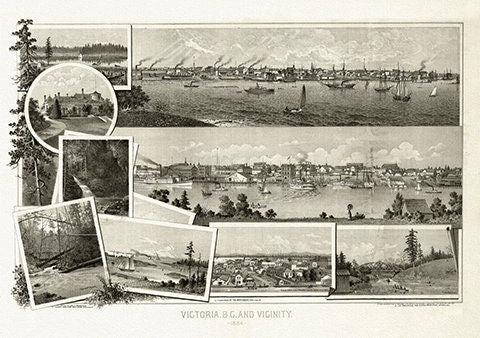 Panoramic Map of Victoria, B.C. and vicinity,1884, on heavy cotton canvas, 22x27" approx.
