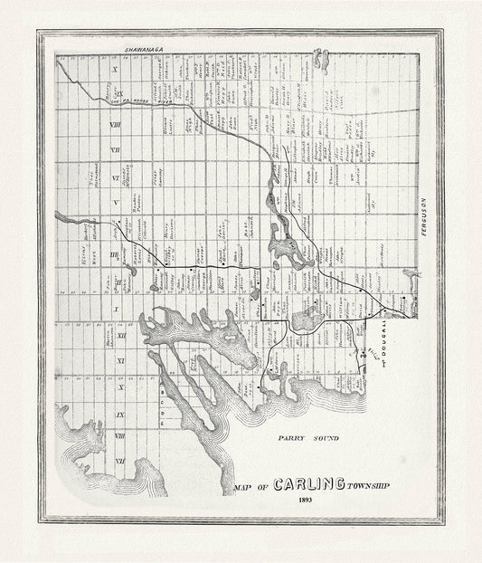 Muskoka-Haliburton, Carling Township, 1893, map on heavy cotton canvas, 20 x 25" approx.