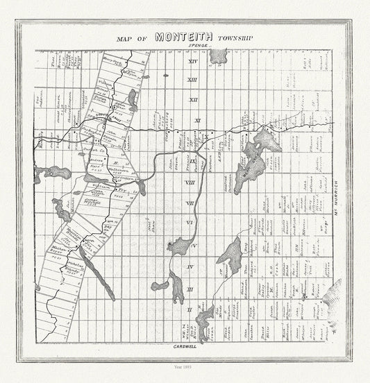 Muskoka-Haliburton, Monteith Township, 1893 , map on heavy cotton canvas, 20 x 25" approx.