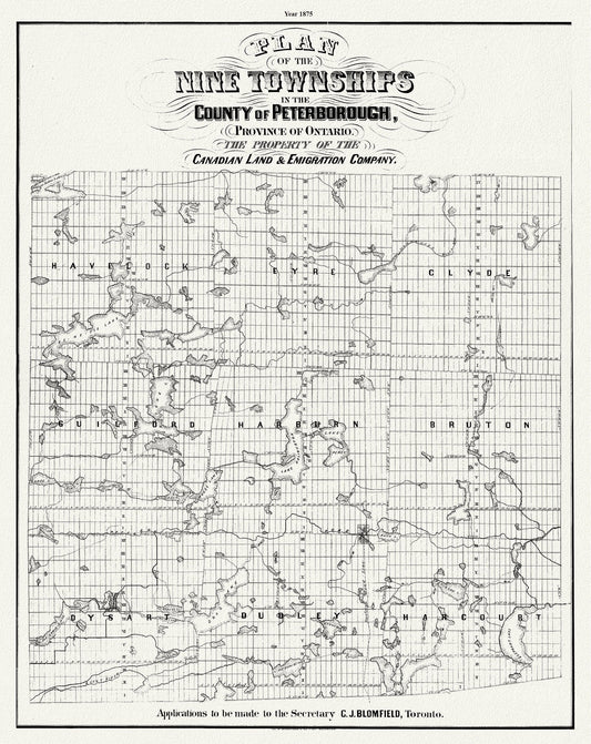 Peterborough County, Township Map. 1875, map on heavy cotton canvas, 50 x 70cm, 20 x 27" approx.