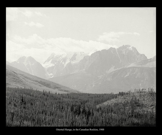 Ottertail Range, Canada, In The Canadian Rockies, 1900, vintage photograph reprinted on durable cotton canvas, 50 x 70 cm, 20 x 25" approx.