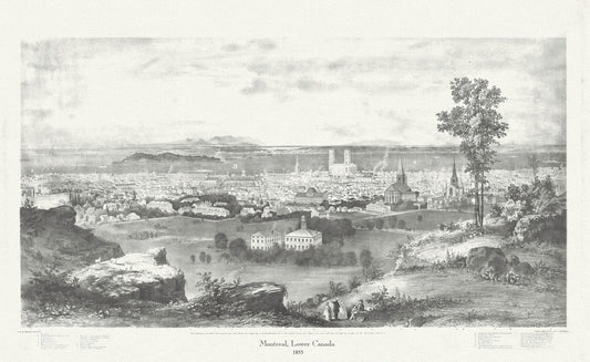 Montreal, Lower Canada, 1855, Whitfield auth., vintage print reprinted on durable cotton canvas, 50 x 70 cm, 20 x 25" approx.