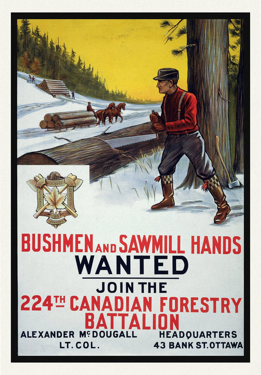 E Bushmen and Sawmill Hands Wanted. Join the 224th Canadian Forestry Battalion, war poster on durable canvas, 50 x 70 cm, 20 x 25" approx.