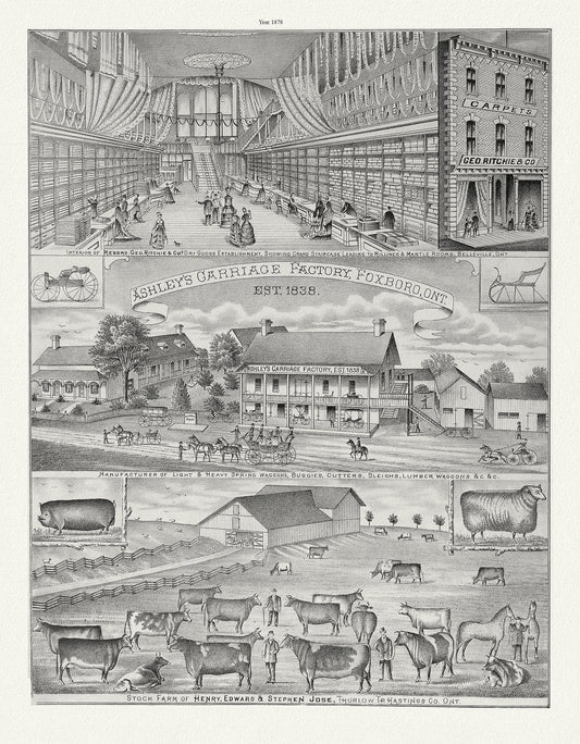 Hastings County, Businesses, 1878 Ver. II , vintage  print on canvas,  50 x 70 cm, 20 x 25" approx.