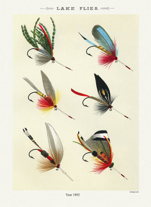Lake Flies, 1892 by Mary Orvis Marbury , vintage nature print on canvas, 50 x 70 cm, 20 x 25" approx. - The Map Chest