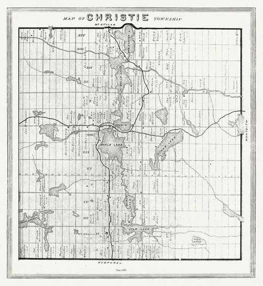 Muskoka - Haliburton, Christie Township, 1893 , map on heavy cotton canvas, 20 x 25" approx. - The Map Chest