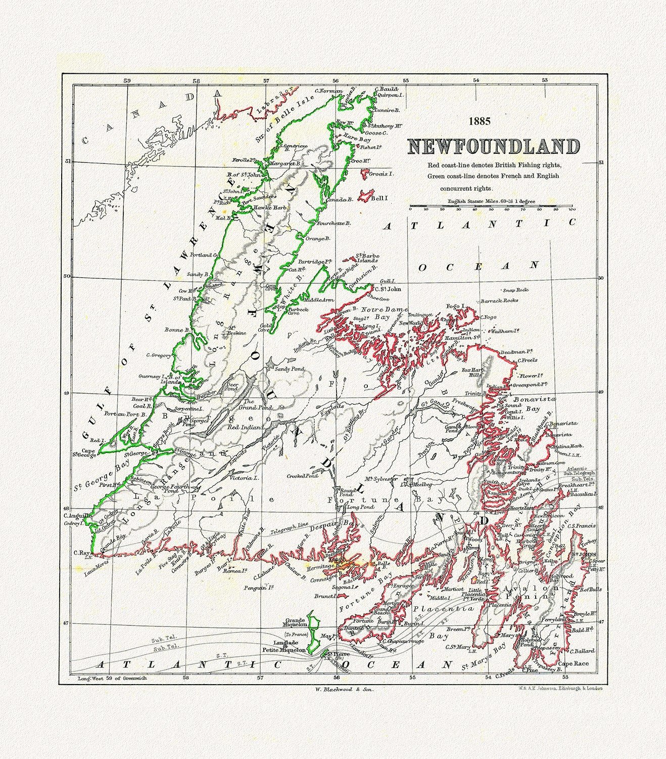 Newfoundland: A Comparison of British and French Fishing rights, Johnston auth., 1885 ,on heavy cotton canvas, 50 x 70 cm, 20 x 25" approx. - The Map Chest