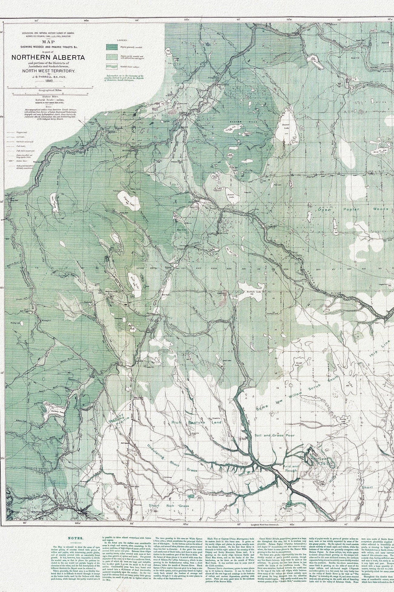 Northern Alberta, Map showing wooded and prairie tracts, etc.,by J.B. Tyrrell, 1884 , map on heavy cotton canvas, 20x27" approx. - The Map Chest