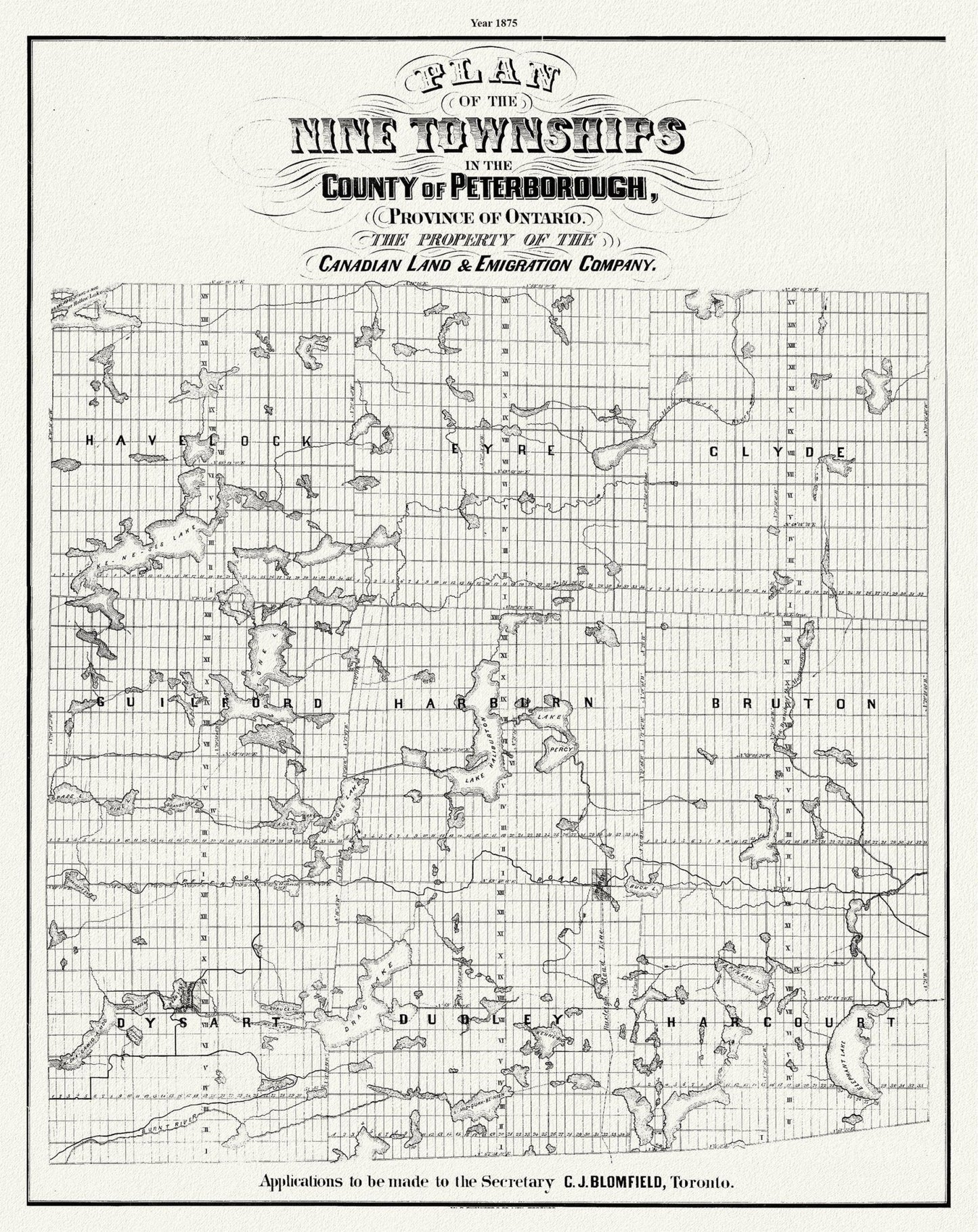 Peterborough County, Township Map. 1875, map on heavy cotton canvas, 50 x 70cm, 20 x 27" approx. - The Map Chest