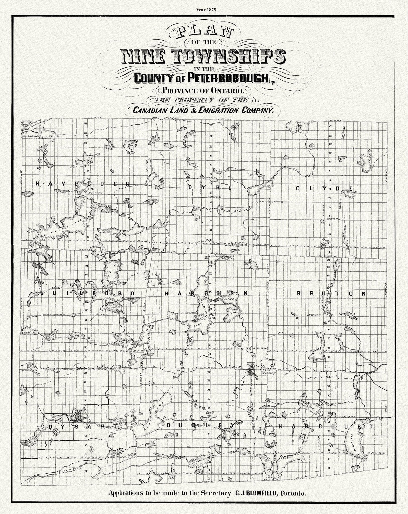Peterborough County, Township Map. 1875, map on heavy cotton canvas, 50 x 70cm, 20 x 27" approx. - The Map Chest
