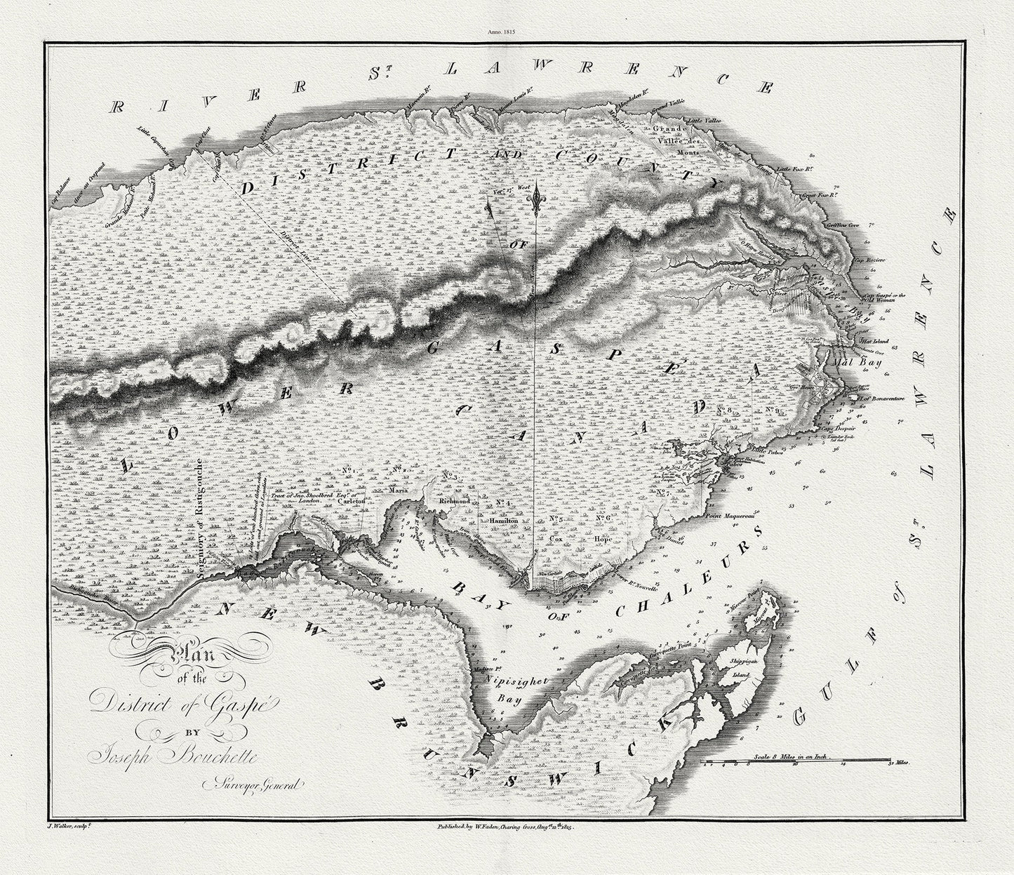 Quebec: Bouchette et Faden, Plan of the District of Gaspe, 1815 , map on heavy cotton canvas, 22x27" approx. - The Map Chest