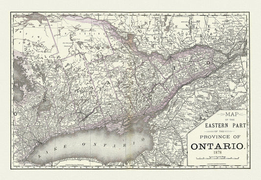Rand, McNally & Co., Eastern Part of the Province of Ontario, 1878, map on heavy cotton canvas, 22x27" approx. - The Map Chest