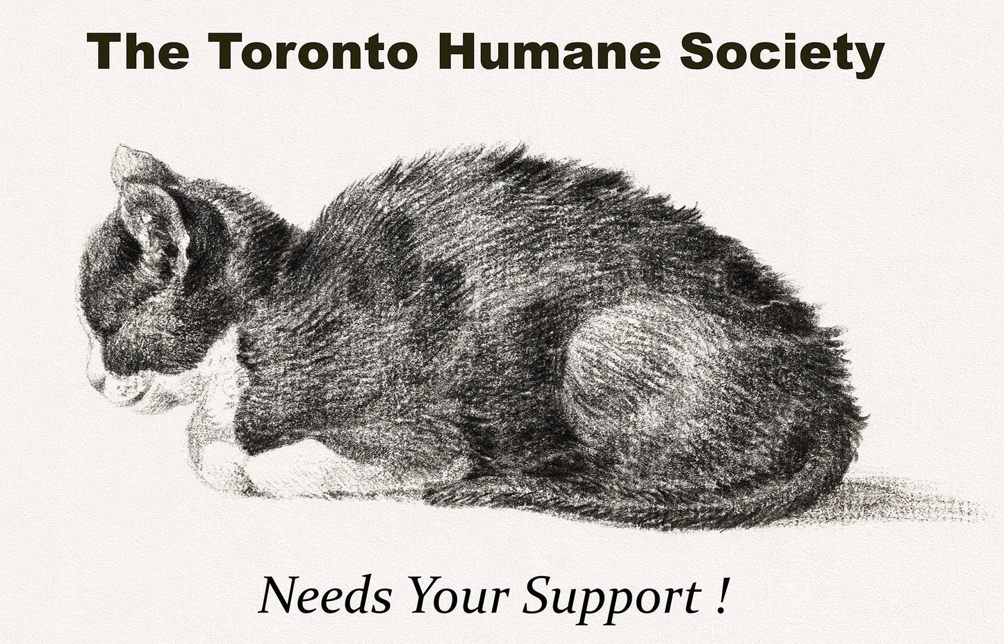 The Toronto Humane Society Needs Your Support, Ver. I , vintage print on canvas, 50 x 70 cm, 20 x 25" approx. - The Map Chest