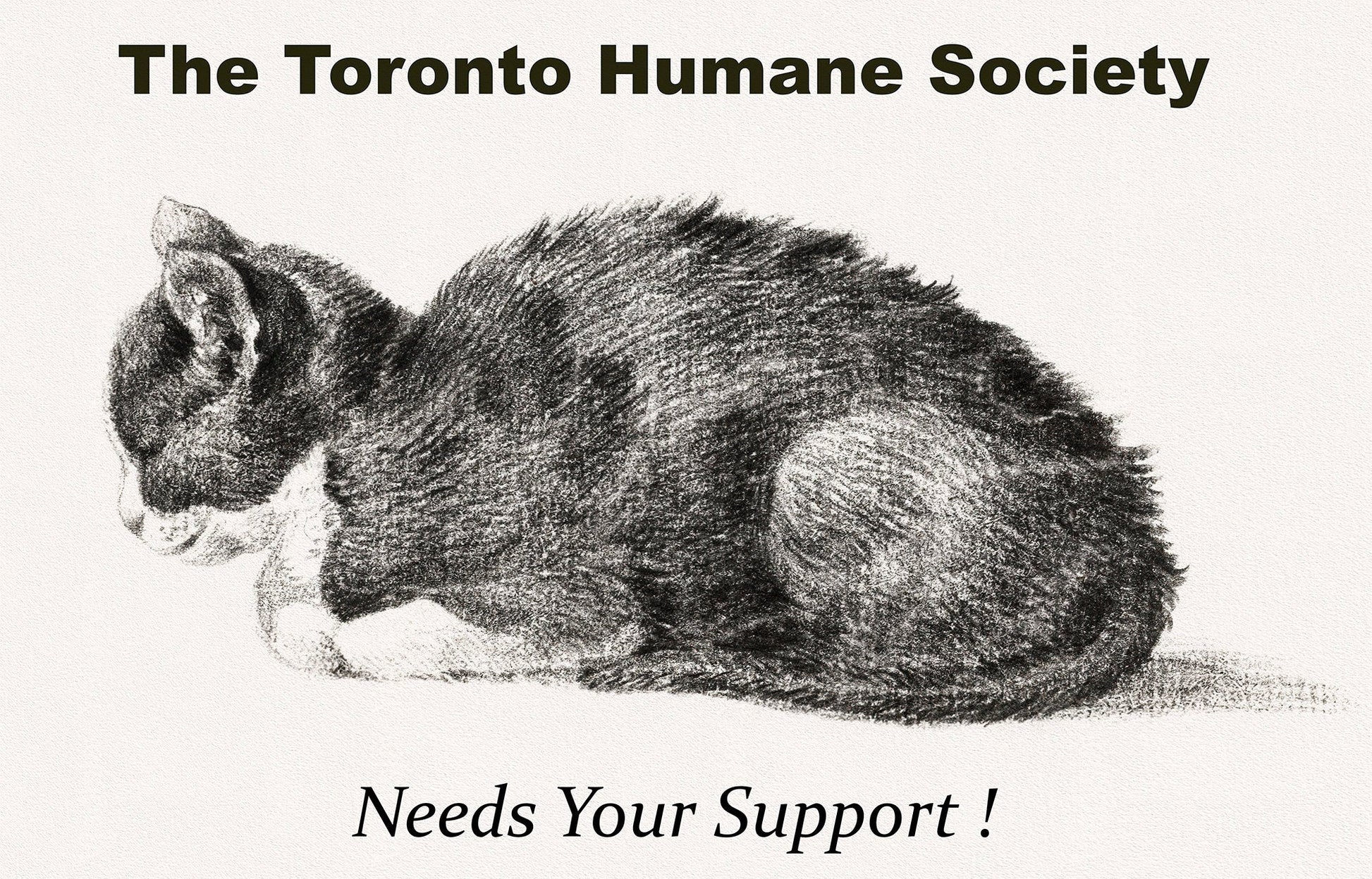 The Toronto Humane Society Needs Your Support, Ver. I , vintage print on canvas, 50 x 70 cm, 20 x 25" approx. - The Map Chest
