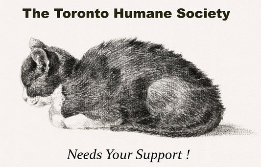 The Toronto Humane Society Needs Your Support, Ver. I , vintage print on canvas, 50 x 70 cm, 20 x 25" approx. - The Map Chest