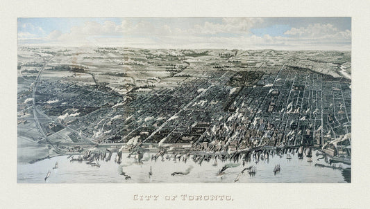 Wesbroom, View of Toronto, 1886, map on heavy cotton canvas, 22x27" approx. - The Map Chest